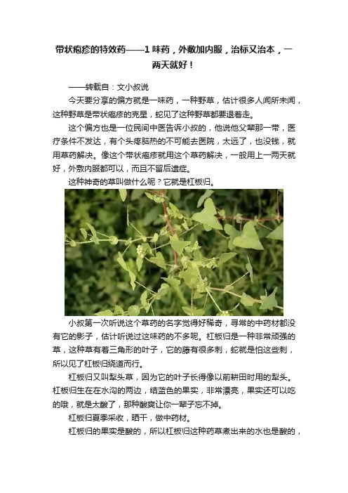 带状疱疹的特效药——1味药，外敷加内服，治标又治本，一两天就好！