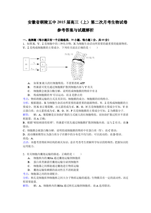 安徽省铜陵五中2015届高三上学期第二次月考生物试题 Word版含解析