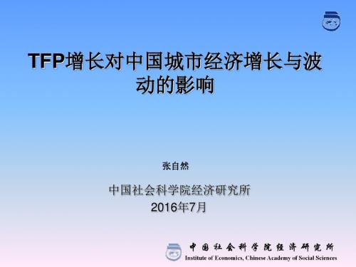 TFP增长对中国城市经济增长与波动的影响(ppt 75张)