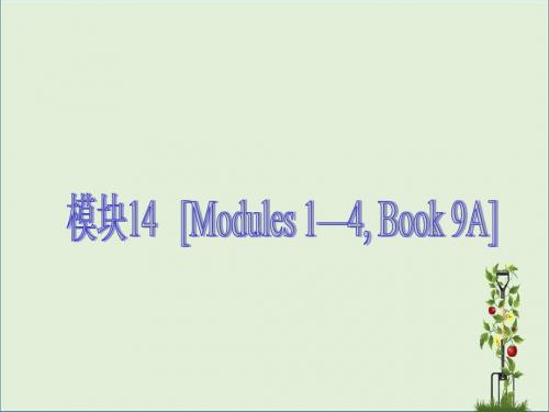 _【外研版】2013届中考英语知识点回顾14 (基础过关+考点透视+典例解析,Modules 1-4, Book 9A,26ppt)