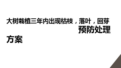 大树栽植三年内出现枯枝、落叶、回芽救治方案