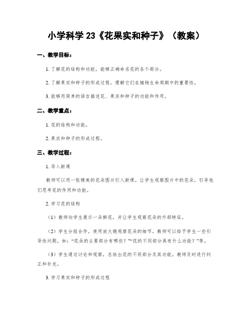 小学科学23《花果实和种子》(教案)