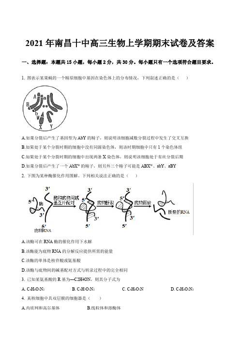 2021年南昌十中高三生物上学期期末试卷及答案