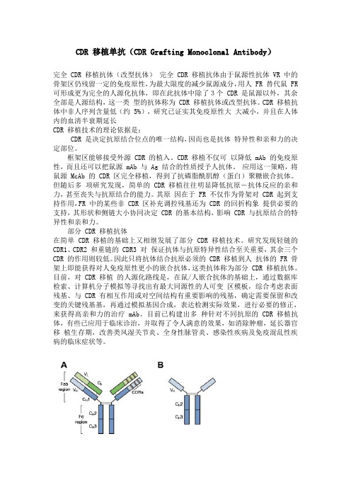 CDR 移植单抗(CDR Grafting Monoclonal Antibody)