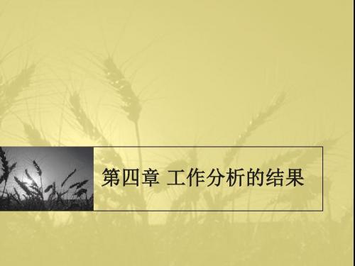 工作分析的结果