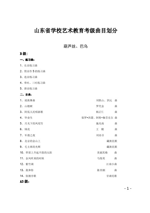 2004年学生体育、艺术等级一(A)级