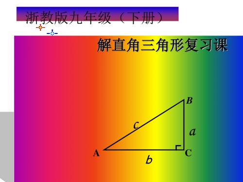 解直角三角形复习ppt7 浙教版