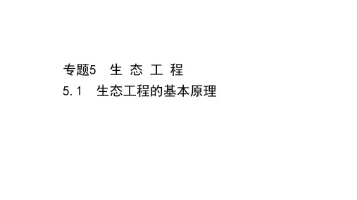 2020-2021学年人教版生物高中选修3课件：5.1 生态工程的基本原理