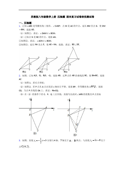 苏教版八年级数学上册 压轴题 期末复习试卷培优测试卷