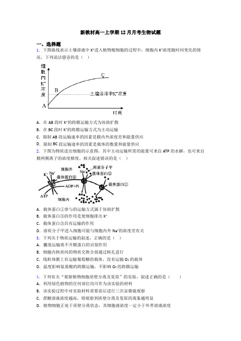 新教材高一上学期12月月考生物试题