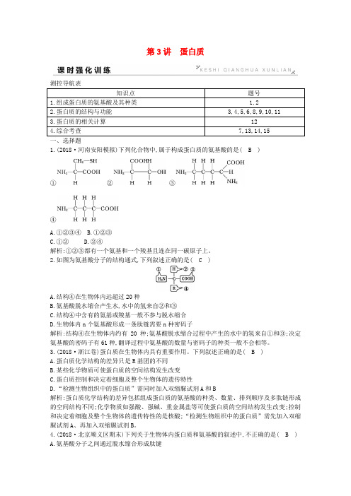 2020版高考生物总复习第3讲蛋白质训练(含解析)新人教版