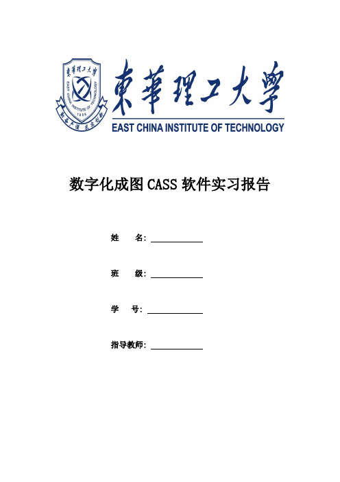 cass实习