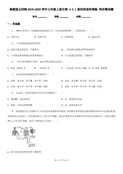 鲁教版五四制2019-2020学年七年级上册生物 4.5.1尿的形成和排除 同步测试题