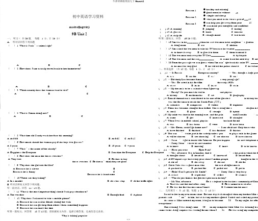 牛津译林版英语九下9bunit2