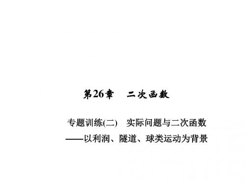 九年级下册数学(华师大版)课件：专题训练(二) 实际问题与二次函数