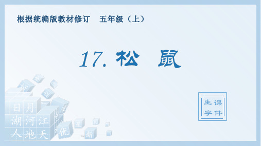 小学语文部编版五年级上册《17.松鼠》生字课件