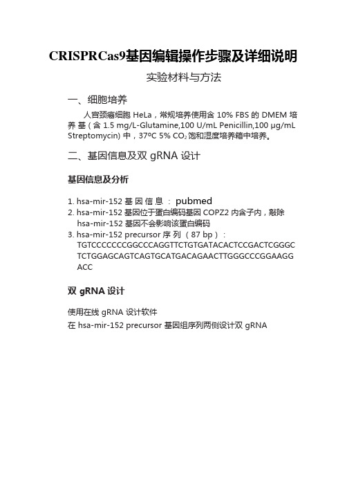 CRISPRCas9基因编辑操作步骤及详细说明