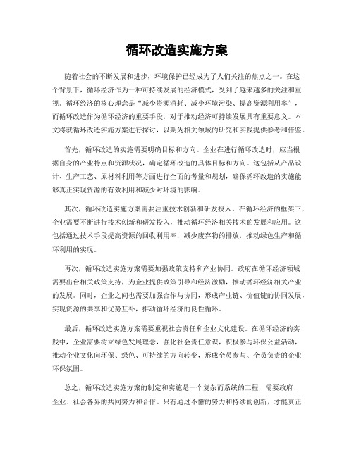 循环改造实施方案