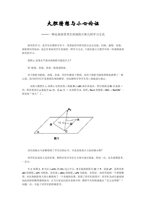 大胆猜想与小心论证