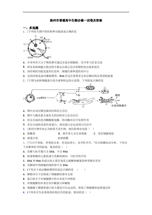 扬州市普通高中生物必修一试卷及答案