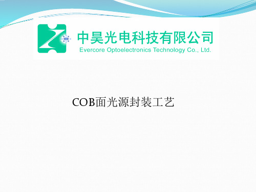 COB封装工艺流程