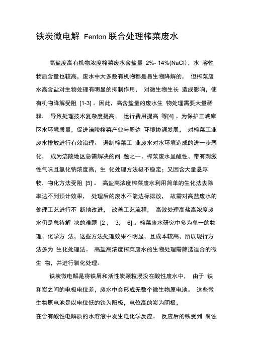 铁炭微电解Fenton联合处理榨菜废水