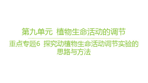 苏教版高考生物学一轮总复习 选择性必修1 第九单元 重点专题 探究动植物生命活动调节实验的思路与方法