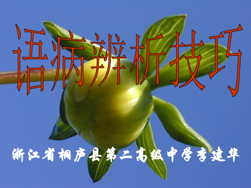 高考复习语病辨析技巧ppt课件下载