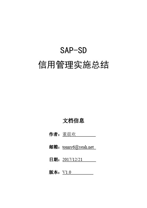 sap-sd信用管理实施总结-s4hana.docx