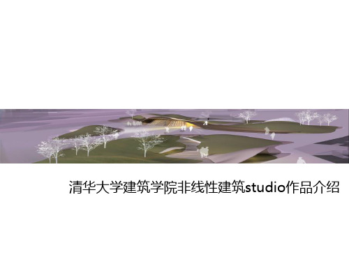 第六章  清华大学建筑学院非线性studio建筑作品介绍(设计原理)