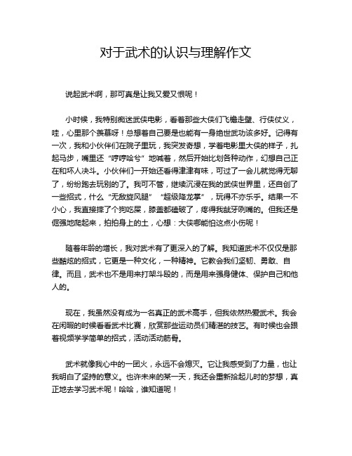 对于武术的认识与理解作文