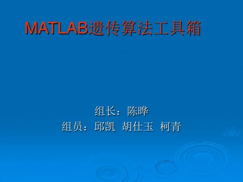 MATLAB遗传算法工具箱 共24页PPT资料