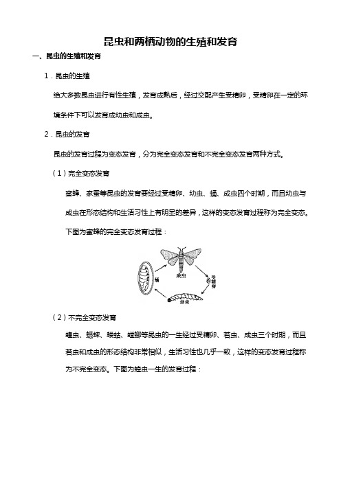 昆虫和两栖动物的生殖和发育