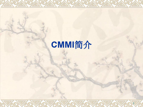 CMMI基础简介ppt课件