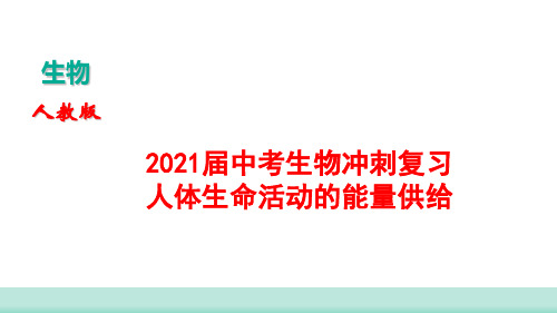 2021届中考生物冲刺复习人体生命活动的能量供给