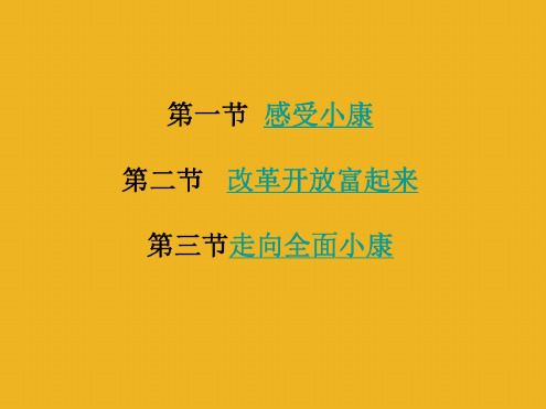思想品德:第三单元《走进小康时代》复习课件-(湘师版八年级下)