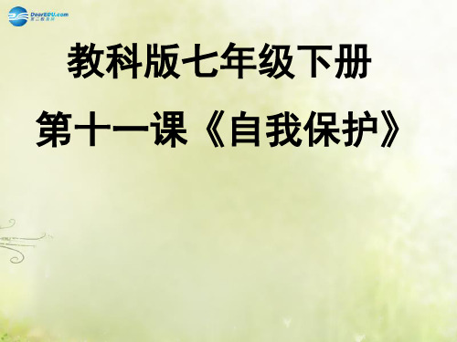 七年级政治下册 第十一课 自我保护课件 教科版