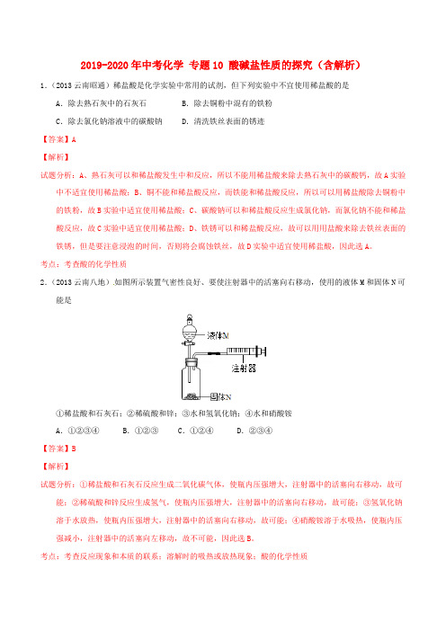 2019-2020年中考化学 专题10 酸碱盐性质的探究(含解析)