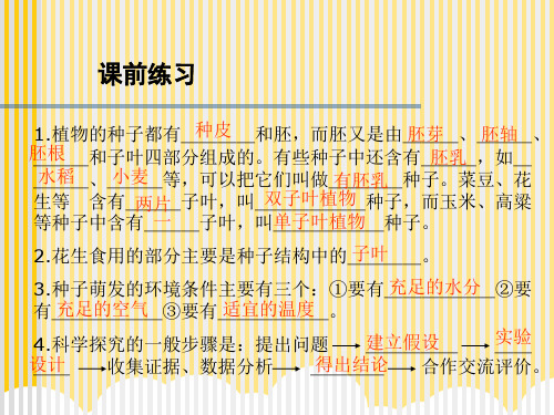 课前练习ppt实用资料