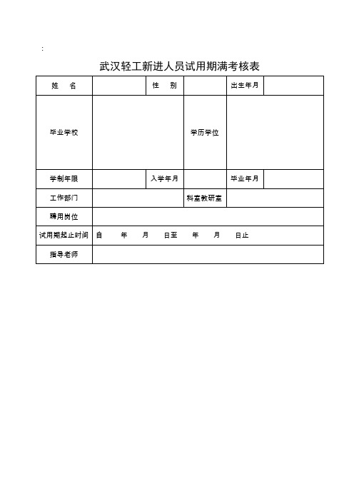 新进人员试用期满考核表