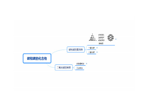 专题二  碳及其化合物(思维导图 习题 答案)