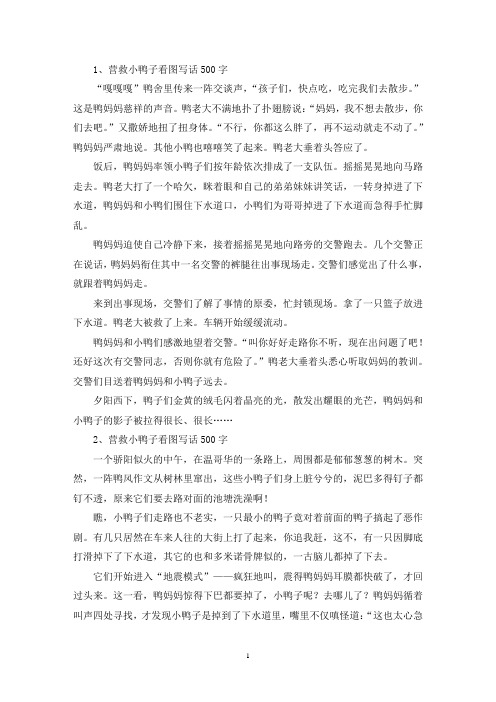 精选营救小鸭子看图写话500字