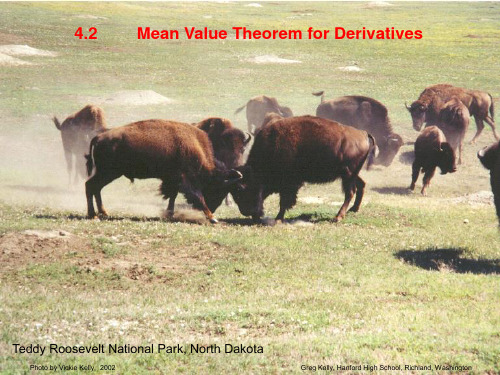 Mean Value Theorem for Derivatives 中值定理