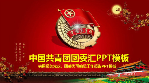 中国共青团工作汇报PPT