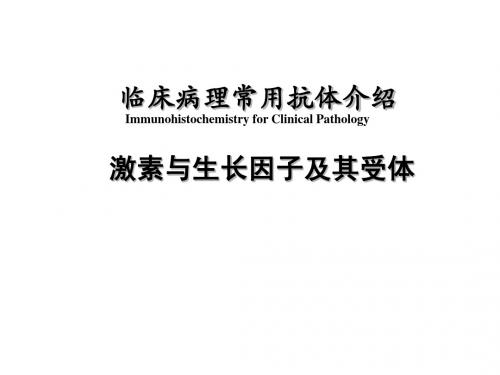 IHC常用抗体介绍5-激素与生长因子及其受体