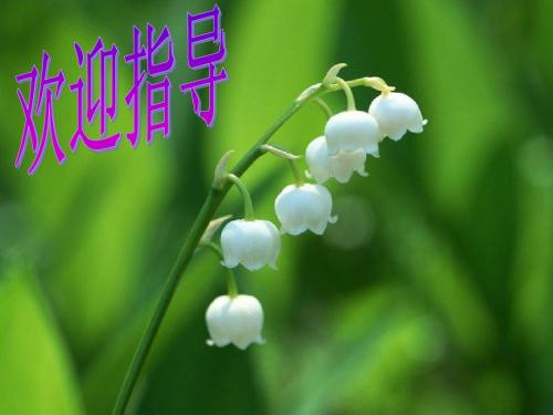 1中考语文专题复习:图表题
