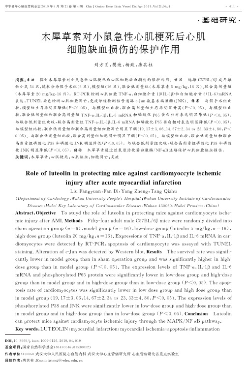 木犀草素对小鼠急性心肌梗死后心肌细胞缺血损伤的保护作用