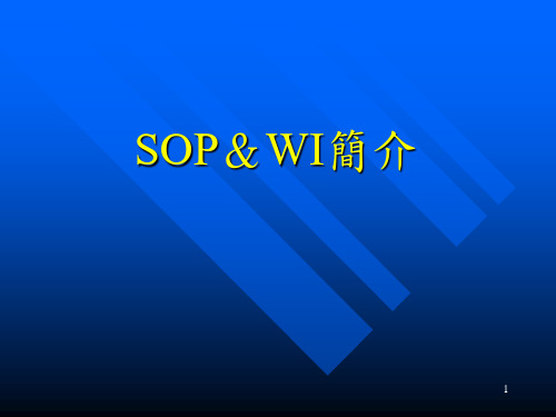 SOPWI简介