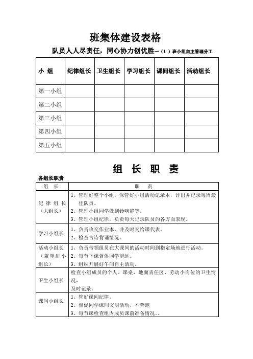 班集体建设表格