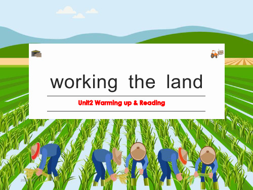 working the land(在兰迪工作)课件